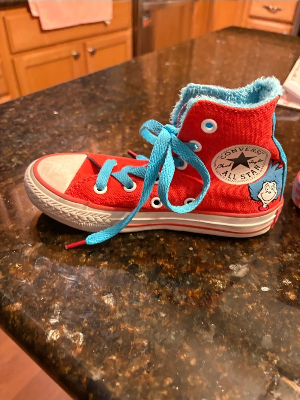 Kids thing 1&2 Converse High Tops